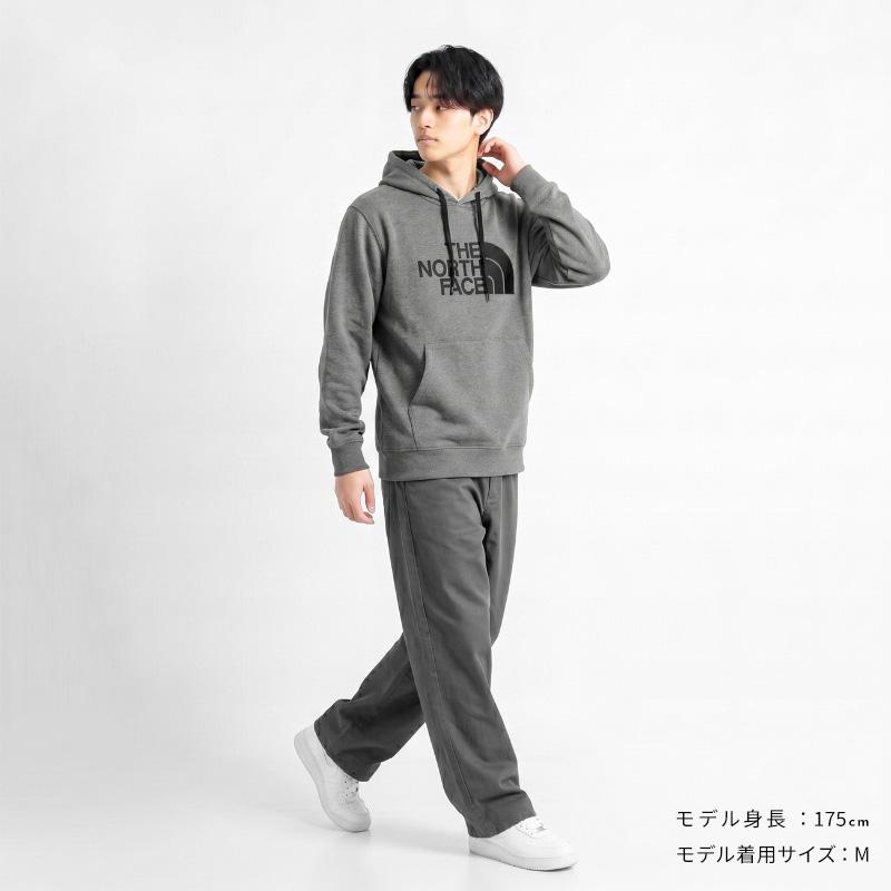 THE NORTH FACE（ザ ノースフェイス） パーカー メンズ Light Drew