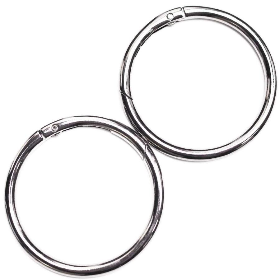 検出 つかの間 ロースト 丸い カラビナ 知的 正当化する おかしい