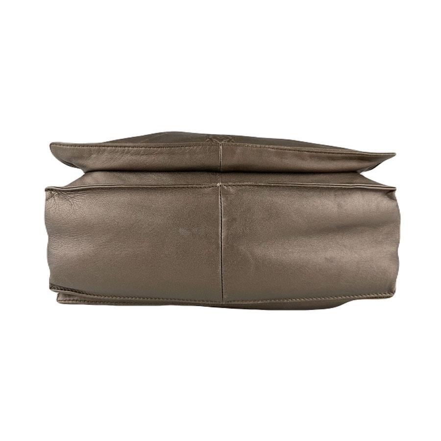 LOEWE（ロエベ） ショルダーバッグ フラメンコ レザー メタリック