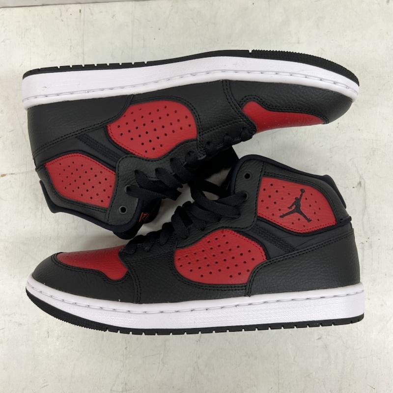 NIKE（ナイキ） JORDAN ACCESS ジョーダン アクセス AR3762-006 26.0cm