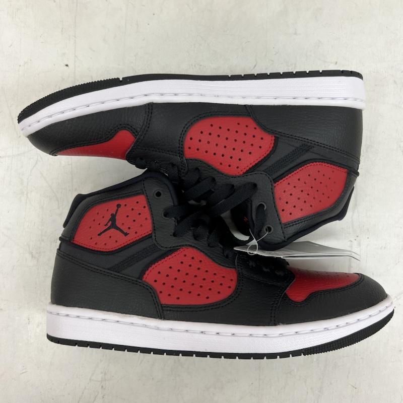 NIKE（ナイキ） JORDAN ACCESS ジョーダン アクセス AR3762-006 26.0cm