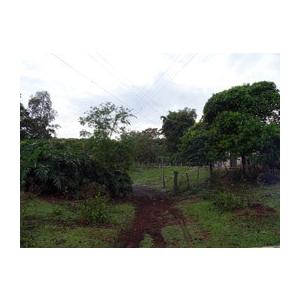 プロポリス 液体 Nova Moda社製 インペリアルプロポリス 液体タイプ30ml 爆買 |  | 03