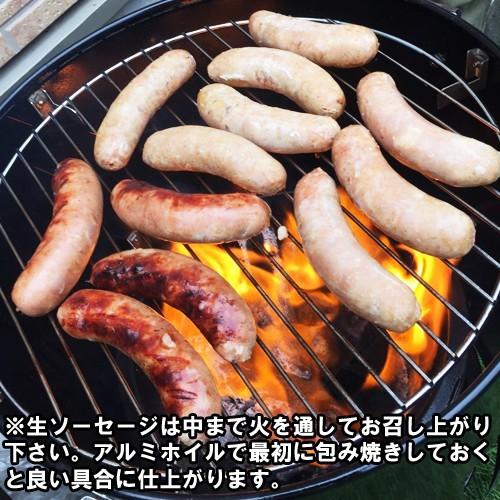 粗挽き生ソーセージ ロンガニーザHOT 500g : COPA MART - 通販 - Yahoo