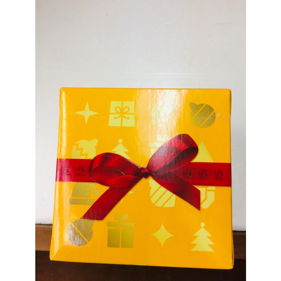 バウドゥッコ パネトーネ 454g Bauducco Panettone フルーツケーキ