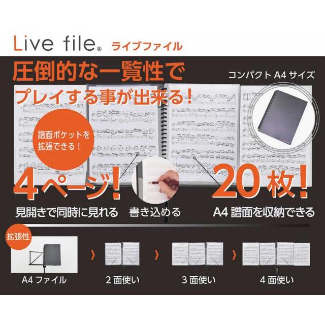 書き込み楽々 風でも飛ばない・落ちにくい ミュージックファイル「Live