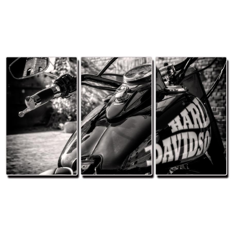 アート キャンバス パネル バイク ファブリック インテリア ハーレーダビッドソン Harley Davidson ツーリング 45×27cm 3枚セット モダン 雑貨 絵画｜brave-market｜02
