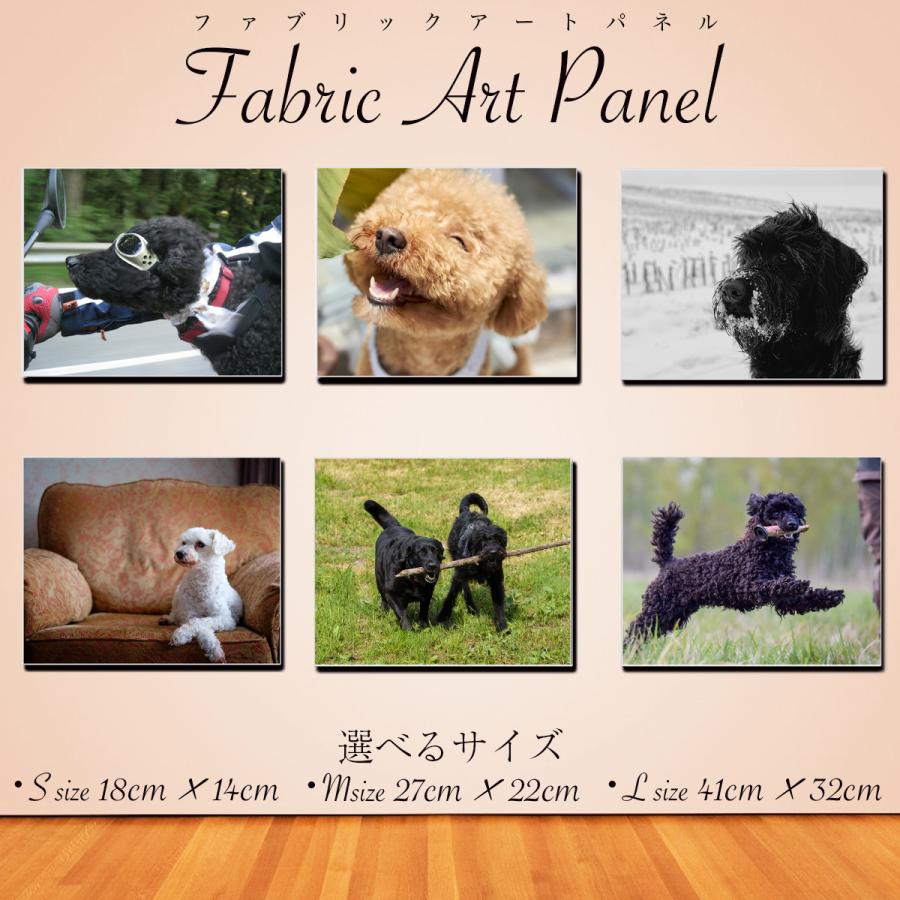 アートパネル インテリア プードル トイプードル トイプ 犬 dog