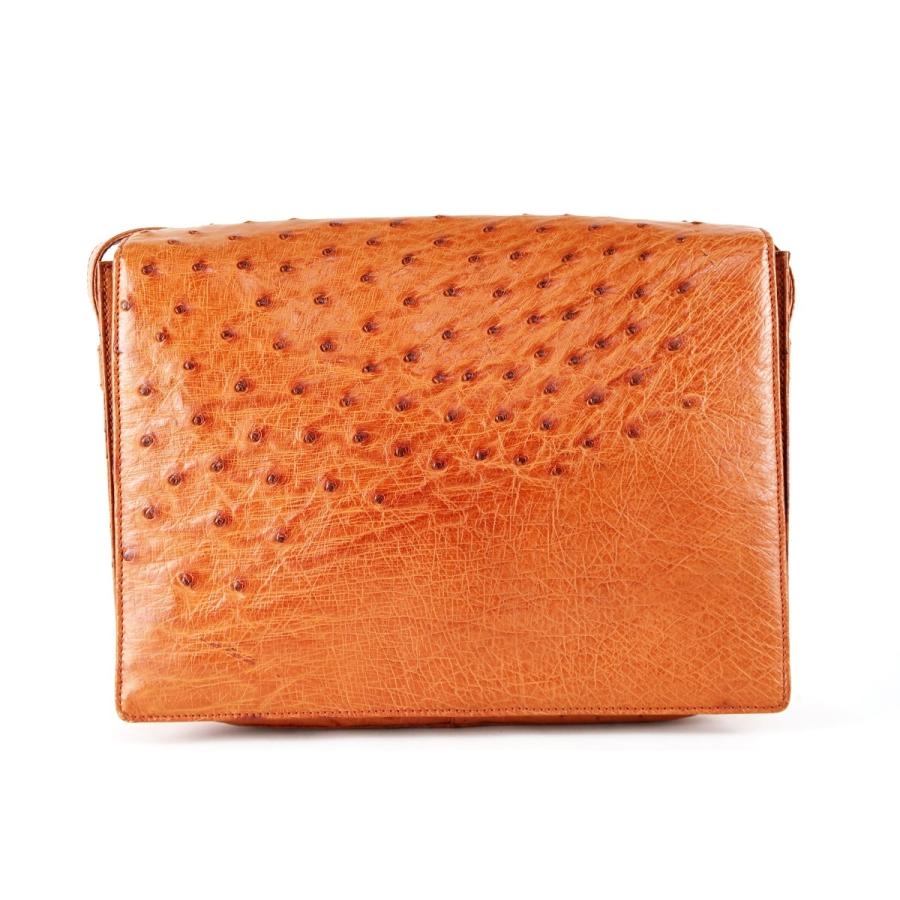 LOEWE ブラウン オーストリッチショルダーバッグ LOEWE（ロエベ） 【超美品】LOEWE オーストリッチ ショルダーバッグ