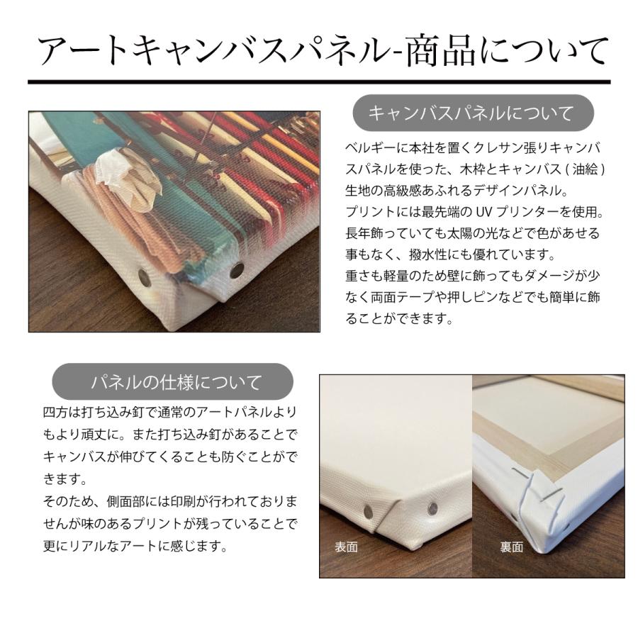 輸入 アートパネル インテリア サッカー 選手 グッズ スパイク ボール キャンバス パネル 絵画 バッジョ ロナウド クライフ シャビ おしゃれ かっこいい Cisama Sc Gov Br