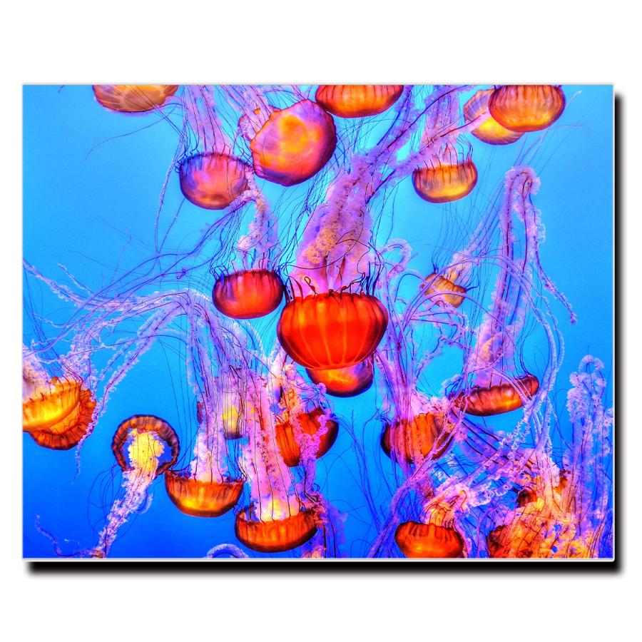 アートパネル インテリア クラゲ 海 キャンバス ファブリック パネル 絵画 おしゃれ かわいい 綺麗 ポスター 額縁 壁紙 Lif 042 デザプリ オリジナルデザインプリントグッズ 通販 Yahoo ショッピング
