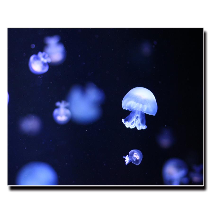 アートパネル インテリア クラゲ 海 キャンバス ファブリック パネル 絵画 おしゃれ かわいい 綺麗 ポスター 額縁 壁紙 Lif 042 デザプリ オリジナルデザインプリントグッズ 通販 Yahoo ショッピング