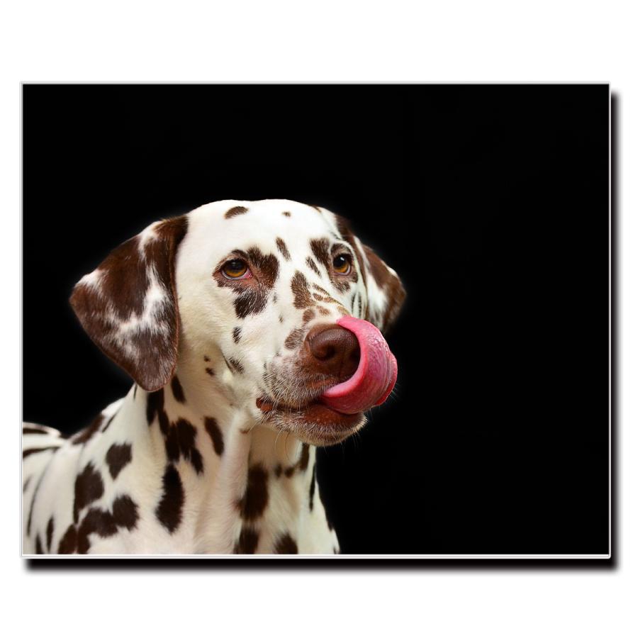 アートパネル インテリア ダルメシアン 101 キャンバス ファブリック パネル 絵画 ポップ おしゃれ 犬 Dog ポスター 額縁 壁紙 Lif P009 デザプリ オリジナルデザインプリントグッズ 通販 Yahoo ショッピング