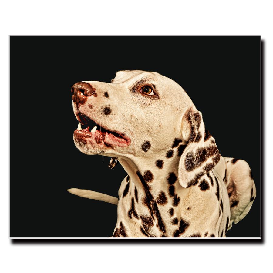 アートパネル インテリア ダルメシアン 101 キャンバス ファブリック パネル 絵画 ポップ おしゃれ 犬 Dog ポスター 額縁 壁紙 Lif P009 デザプリ オリジナルデザインプリントグッズ 通販 Yahoo ショッピング