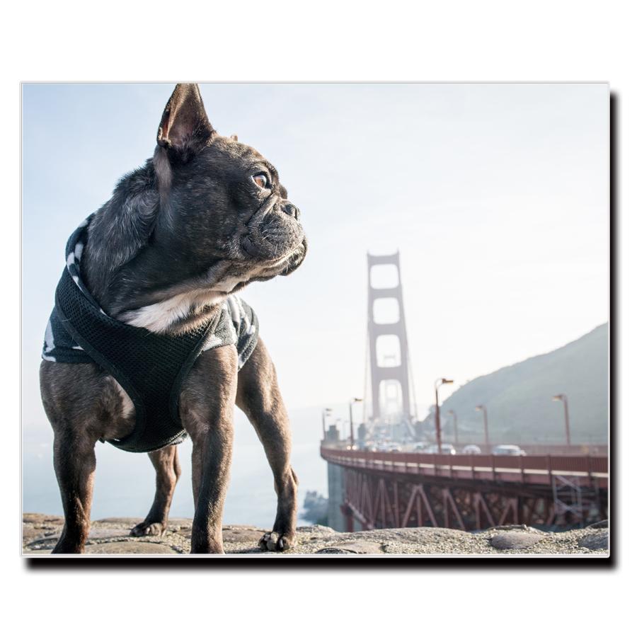 アートパネル インテリア ブルドッグ キャンバス ファブリック パネル 絵画 ポップ おしゃれ 犬 Dog ポスター 額縁 壁紙 Lif P016 デザプリ オリジナルデザインプリントグッズ 通販 Yahoo ショッピング