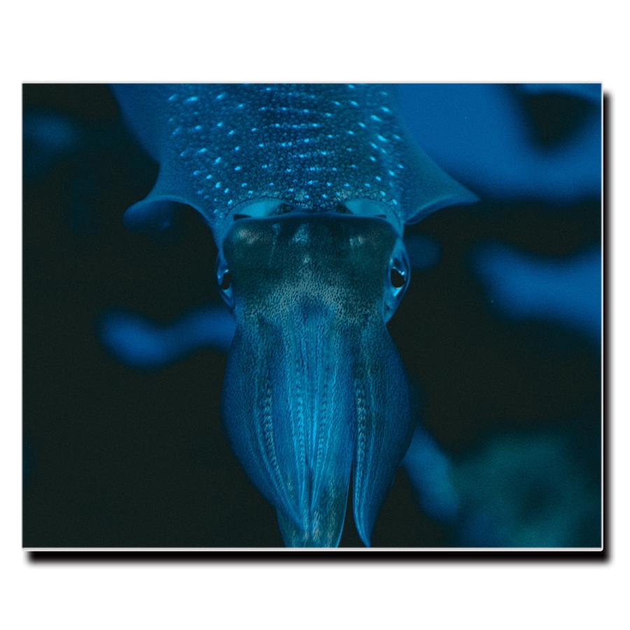 アートパネル インテリア イカ キャンバス ファブリック パネル 絵画 おしゃれ かわいい アニマル ポスター 額縁 壁紙 Lif P026 デザプリ オリジナルデザインプリントグッズ 通販 Yahoo ショッピング