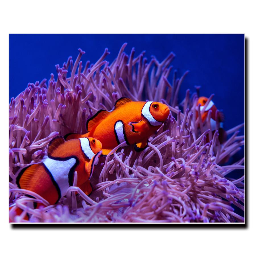 アートパネル インテリア カクレクマノミ ニモ 海 キャンバス ファブリック パネル 絵画 おしゃれ かわいい 綺麗 ポスター 額縁 壁紙 Lif P041 デザプリ オリジナルデザインプリントグッズ 通販 Yahoo ショッピング