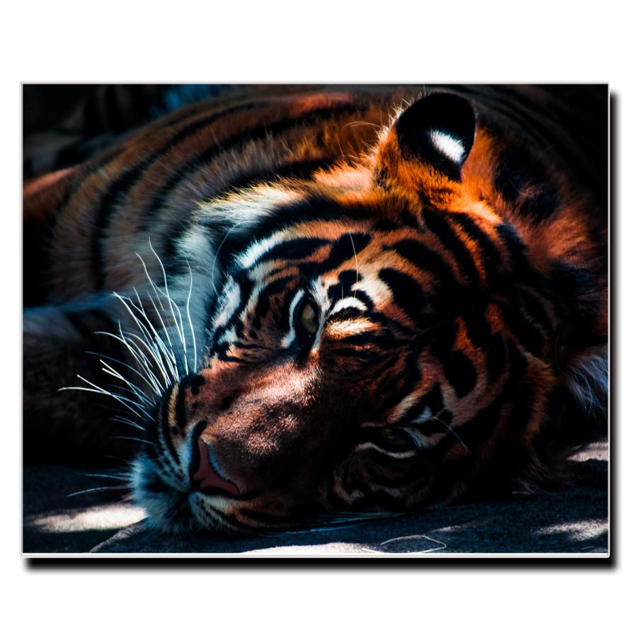 アートパネル インテリア トラ 動物 キャンバス ファブリック パネル 絵画 おしゃれ かわいい 綺麗 ポスター 額縁 壁紙 Lif P056 デザプリ オリジナルデザインプリントグッズ 通販 Yahoo ショッピング
