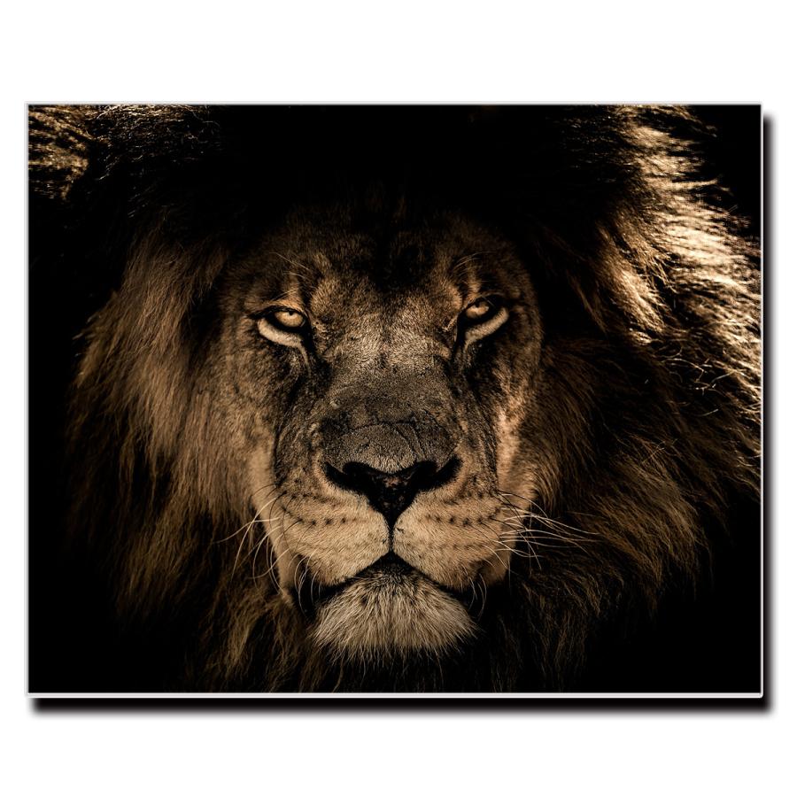 アートパネル インテリア ライオン 動物 キャンバス ファブリック パネル 絵画 おしゃれ かわいい 綺麗 ポスター 額縁 壁紙 Lif P059 デザプリ オリジナルデザインプリントグッズ 通販 Yahoo ショッピング