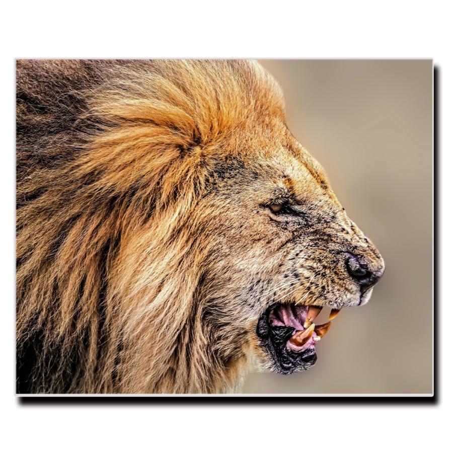 アートパネル インテリア ライオン 動物 キャンバス ファブリック パネル 絵画 おしゃれ かわいい 綺麗 ポスター 額縁 壁紙 Lif P059 デザプリ オリジナルデザインプリントグッズ 通販 Yahoo ショッピング