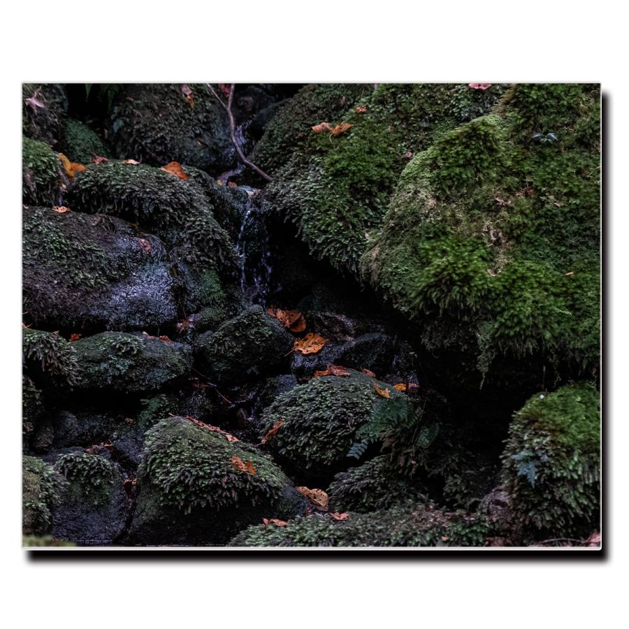アートパネル インテリア 屋久島 島 キャンバス ファブリック パネル 絵画 おしゃれ かわいい 綺麗 ポスター 額縁 壁紙 Lif P067 デザプリ オリジナルデザインプリントグッズ 通販 Yahoo ショッピング