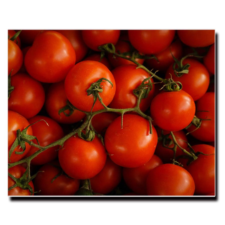 アートパネル インテリア トマト キャンバス ファブリック パネル 絵画 おしゃれ かわいい 綺麗 ポスター 額縁 壁紙 Lif P090 デザプリ オリジナルデザインプリントグッズ 通販 トマトの額 インテリア 絵画 Maksismt Lv