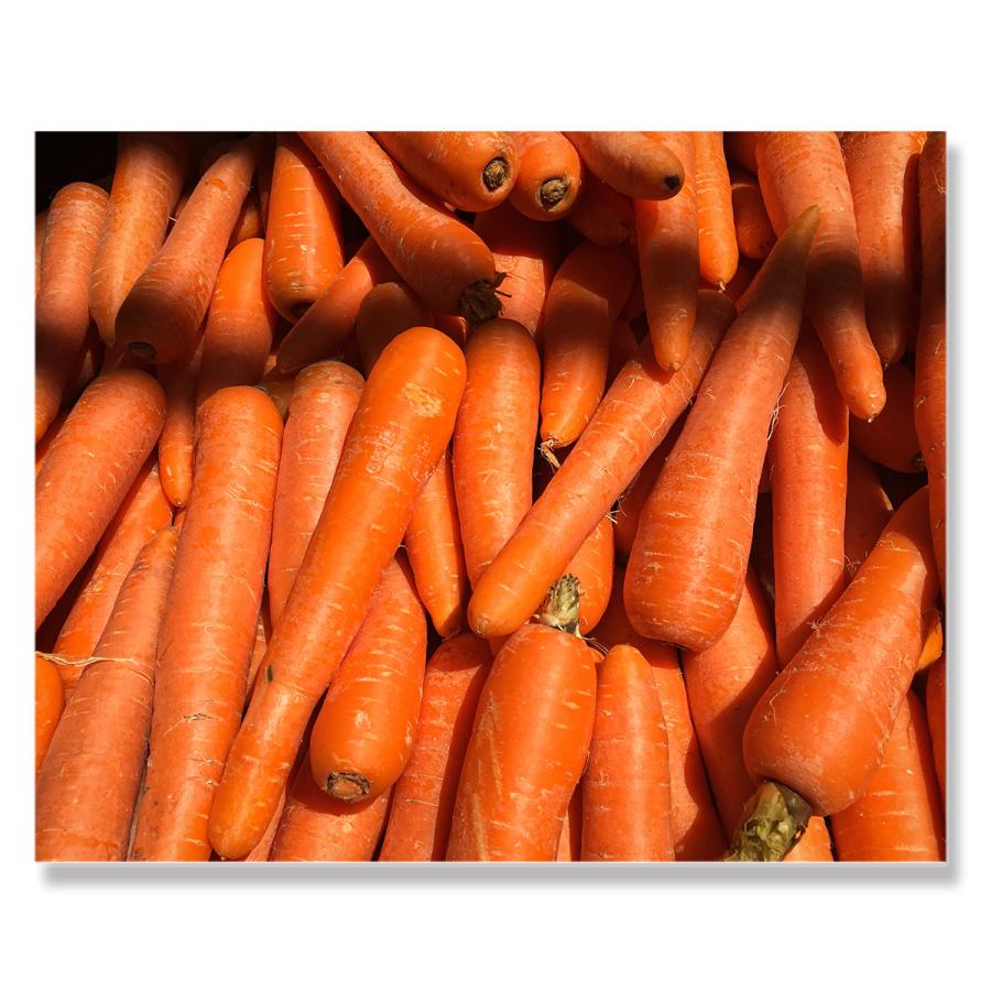 アートパネル インテリア 人参 ニンジン 野菜 キャンバス ファブリック パネル 絵画 おしゃれ かわいい 綺麗 ポスター 額縁 壁紙 Lif P092 デザプリ オリジナルデザインプリントグッズ 通販 Yahoo ショッピング