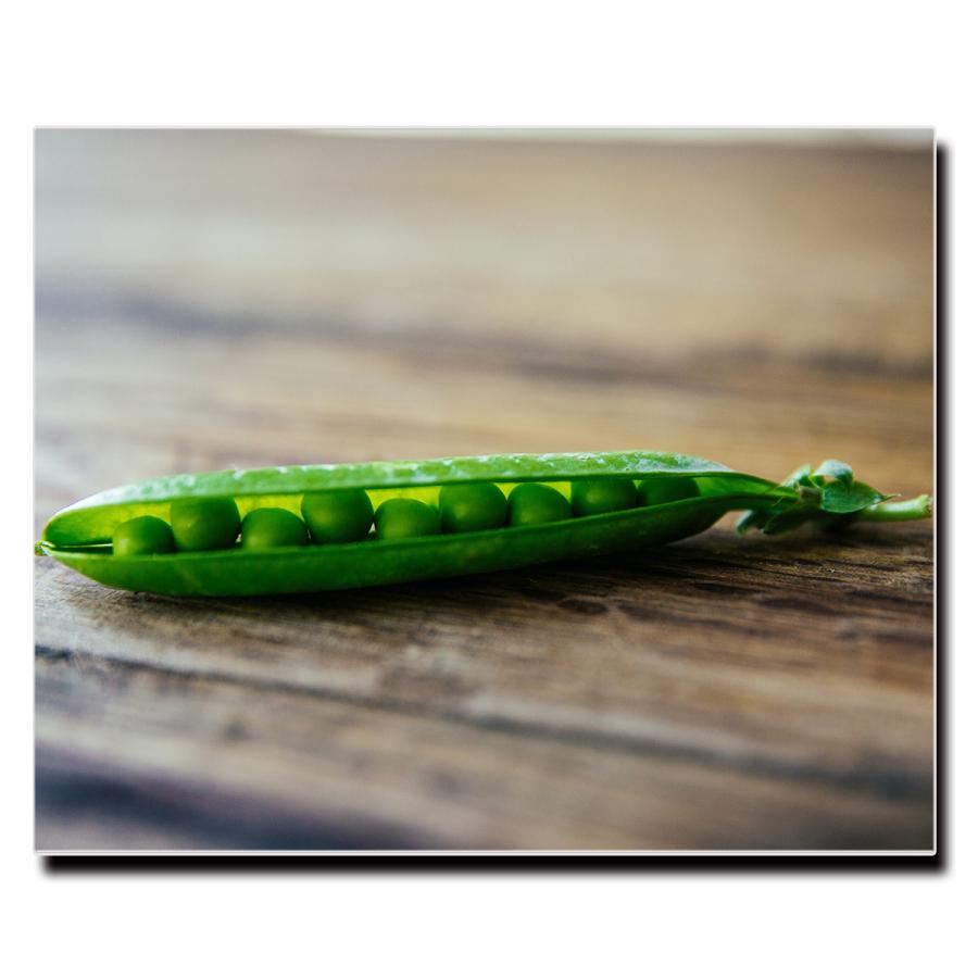 アートパネル インテリア 野菜 ベジタブル キャンバス ファブリック パネル 絵画 かわいい おしゃれ Lif P104 デザプリ オリジナルデザインプリントグッズ 通販 Yahoo ショッピング
