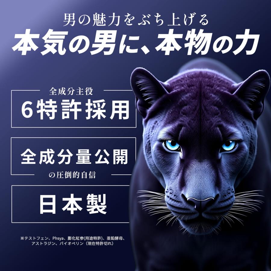 公式】OCTAGON オクタゴン 自信増大サプリ 30日分 テストフェン PHYSTA