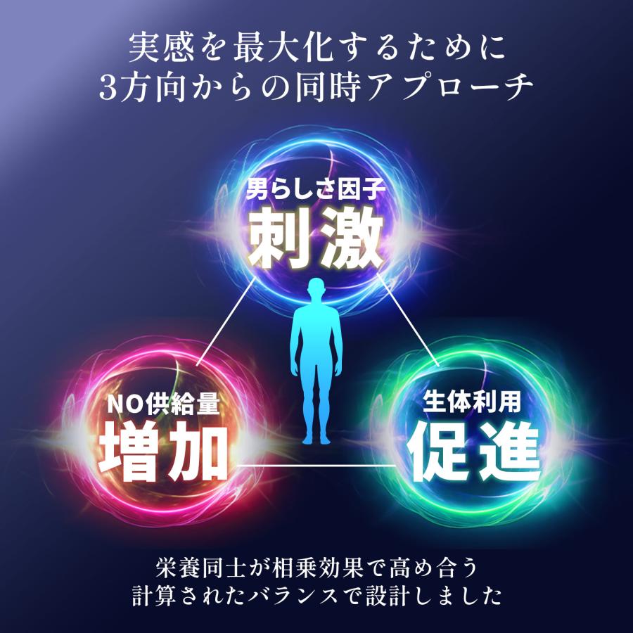 公式】OCTAGON オクタゴン 30日分 テストフェン PHYSTA アストラジン