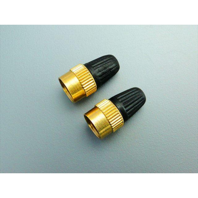 1932■汎用 ムシ回し付きバルブキャップ(2個)※真鍮製 | 