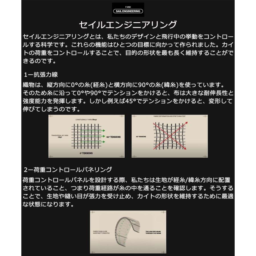 F-ONE エフワン SWINGV5 5.5平米 スウィングブイ5 サーフウイング カイトウイング ウイングサーフィン ウイングフォイル |  | 07