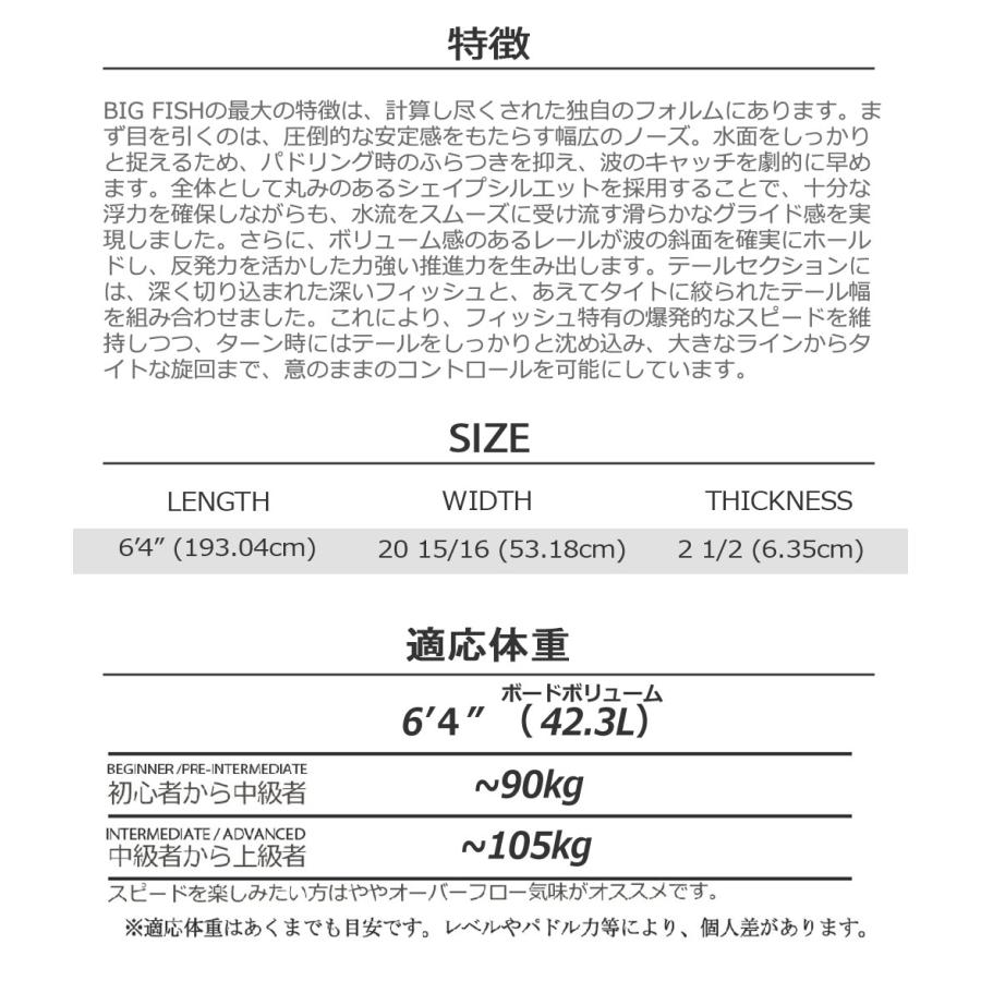 サーフボード ショート アドバンス / ADVANCED BIG FISH 6'4 ビッグ