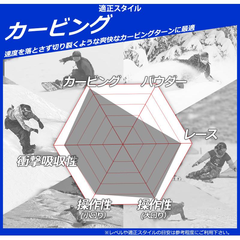 25-26 AMICSS/アミックス DMT ディーエムティー メンズ アルペン 国産