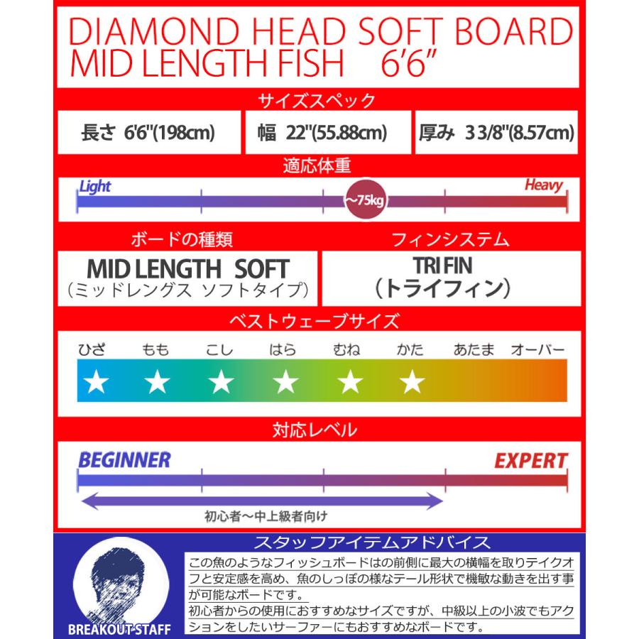 予約商品 3月〜4月上旬入荷予定 サーフボード ソフトボード 6'6 D-7