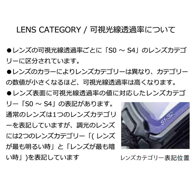 24-25 DICE/ダイス BANK バンク メンズ レディース ゴーグル 球面 調光