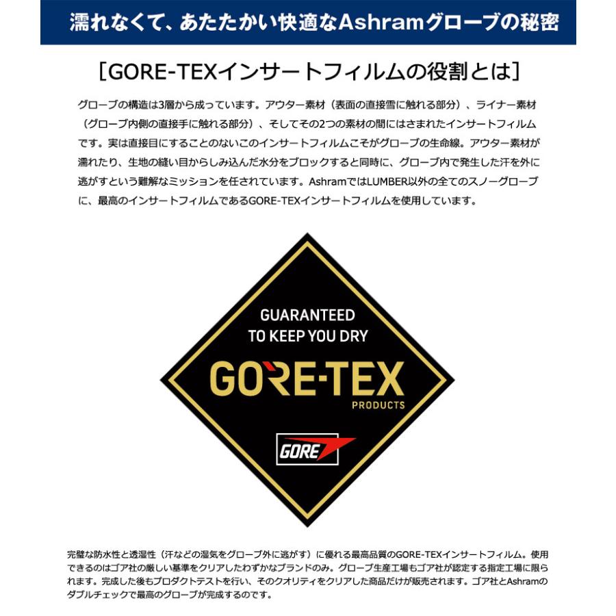 24-25 ASHRAM/アシュラム DGMA ドグマ ミトングローブ ゴアテックス