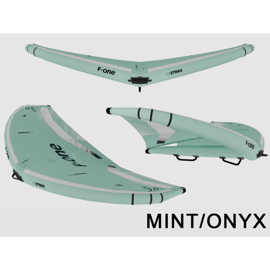 F-ONE エフワン STRIKE V5 3.5平米 ストライクブイファイブ サーフウイング カイトウイング ウイングサーフィン ウイングフォイル 2025 |  | 06