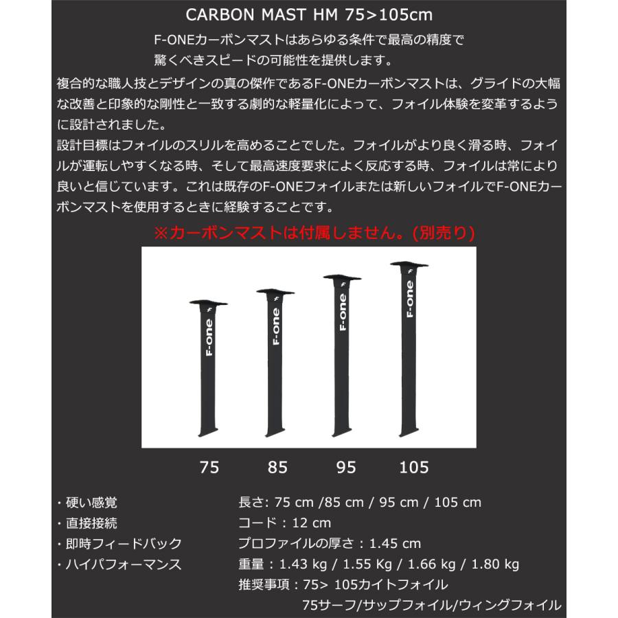 f-one エフワン gravity2200 マスト75cm ウイングフォイル F-one Gravity 2200 Foil｜フォイルサーフィンECショップ【Foil-Import】