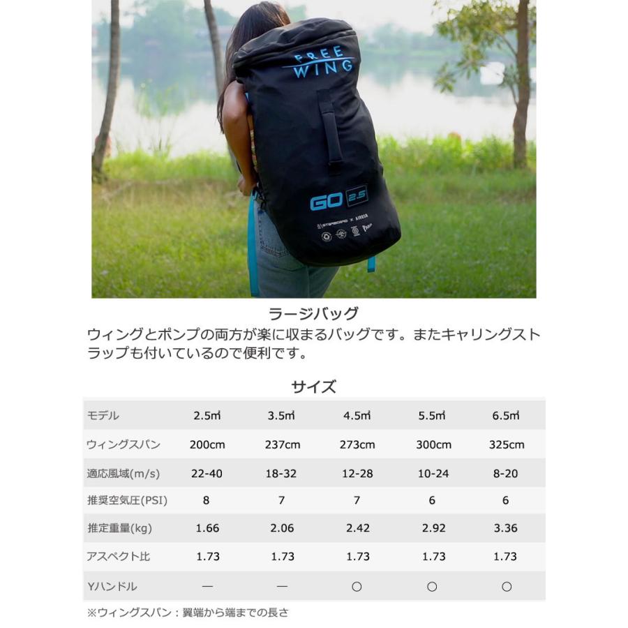 STARBOARD x AIRUSH スターボード エアラッシュ FREEWINGGO