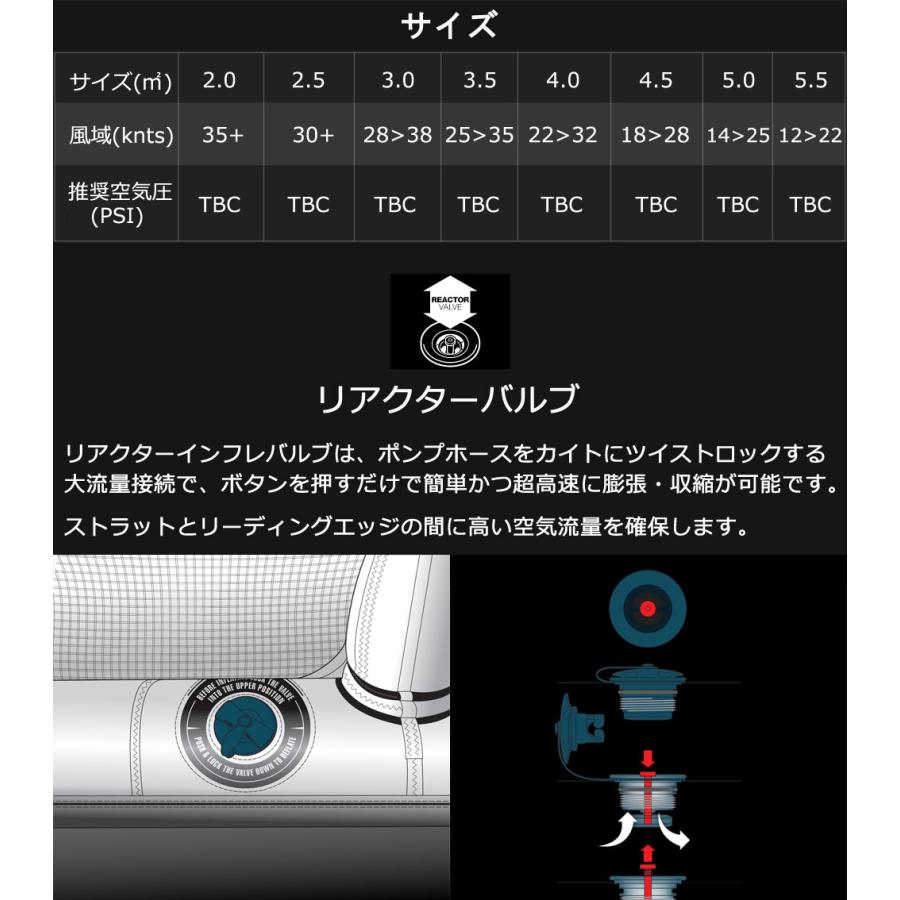 F-ONE エフワン SWING V3 5.5平米 スウィングブイ3 サーフウイング 