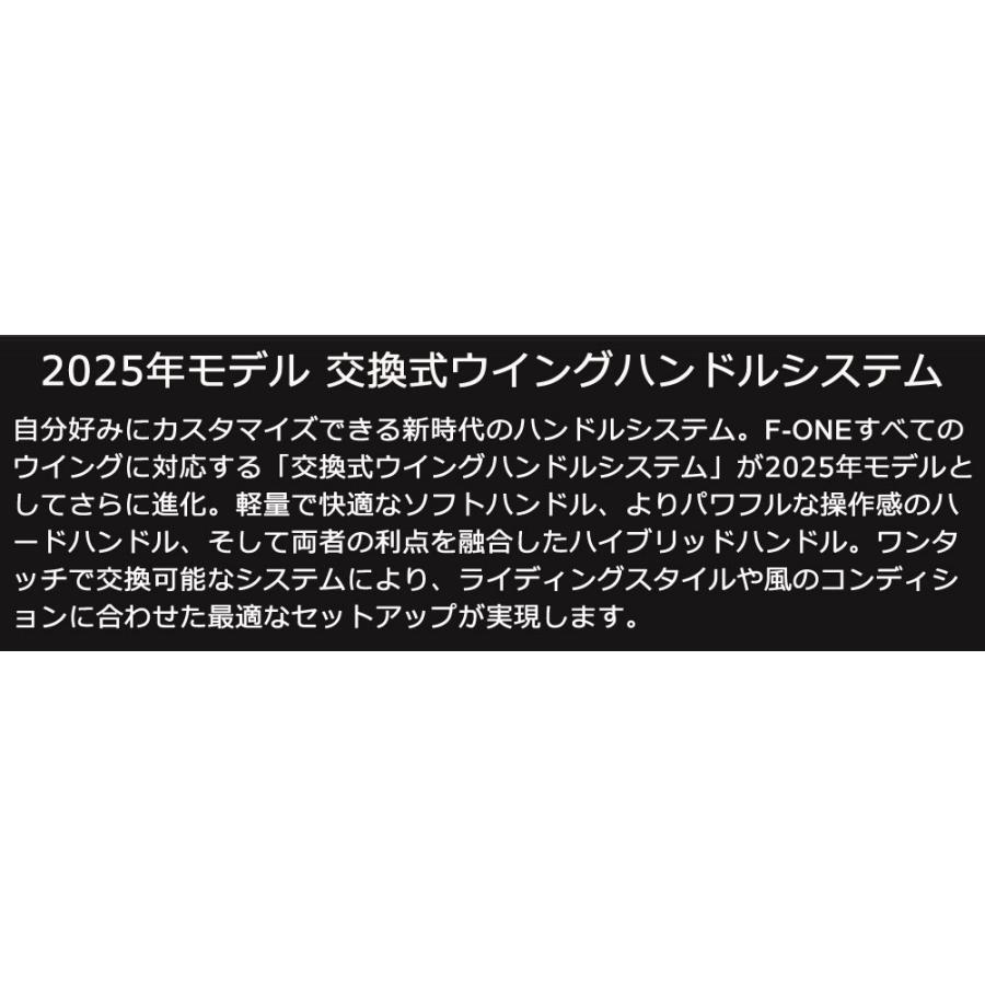 F-ONE エフワン SWINGV5 2.5平米 スウィングブイ5 サーフウイング カイトウイング ウイングサーフィン ウイングフォイル |  | 16