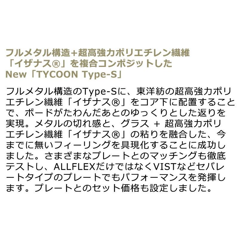 24-25 GRAY/グレイ TYCOON TypeS iZ タイクーン ALLFLEX PLATE SET アルペン アルフレックス スノーボード 板 2025 | GRAY | 02