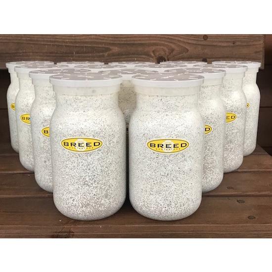 BREED　１１００菌糸ビン　１５本　Go様 BREED 1100菌糸ビン 23本 そう様