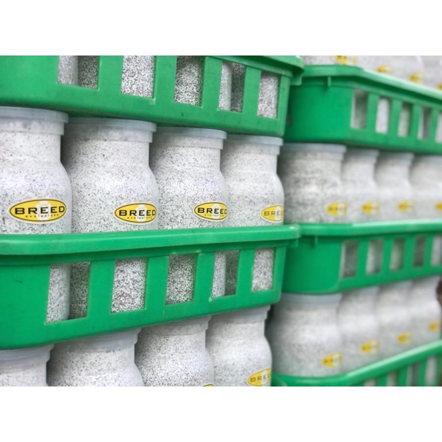 菌糸ビン 高品質 高性能 BREED 1100ml 1本 ブリード 菌糸瓶 菌床 菌糸