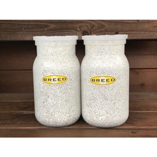 菌糸ブロック・/3500cc | クワガタ・オオクワガタ販売専門店【くわがた