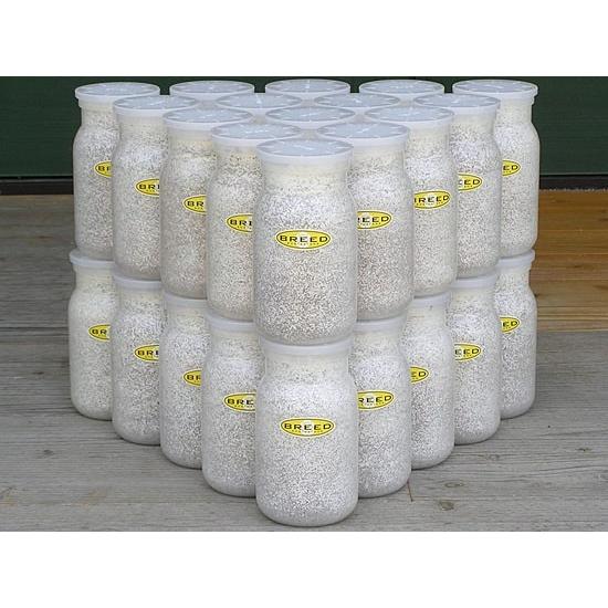 菌糸ビン 高品質 高性能 BREED 1100ml 40本セット ブリード 菌糸 菌糸ビン 高品質 高性能 BREED 1100ml 40本セット ブリード 菌糸