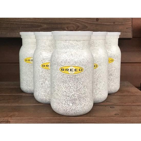 菌糸ビン 高品質 高性能 Breed 1100ml 6本 ブリード 菌糸瓶 菌床 菌糸ボトル あす楽対応