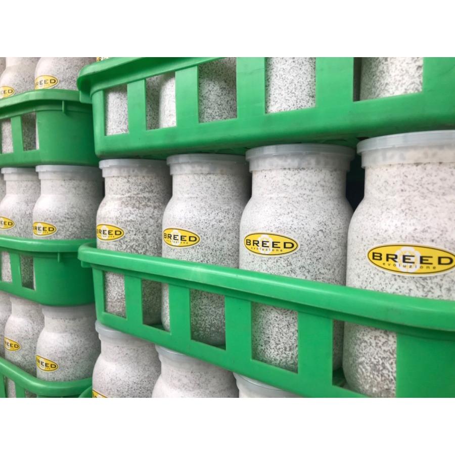 菌糸ビン 高品質 高性能 BREED 1500ml 2本セット ブリード 菌糸瓶 菌