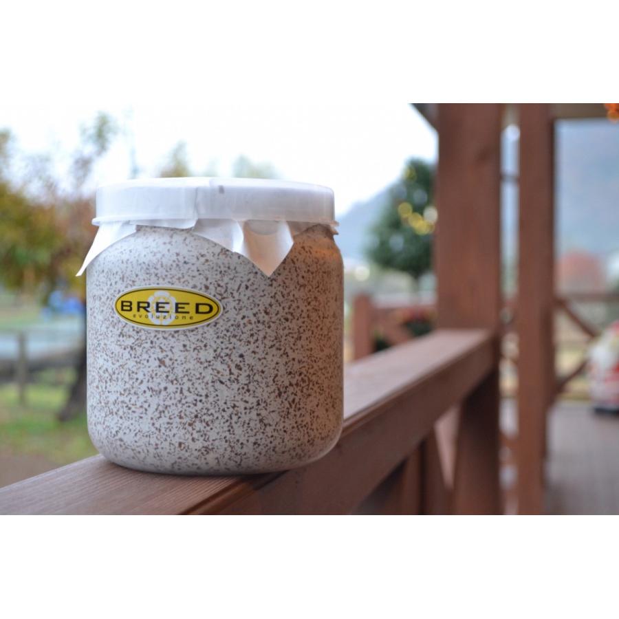 菌糸ビン　高品質　高性能　BREED　1500ml　30本セット　ブリード　菌糸瓶　菌床 