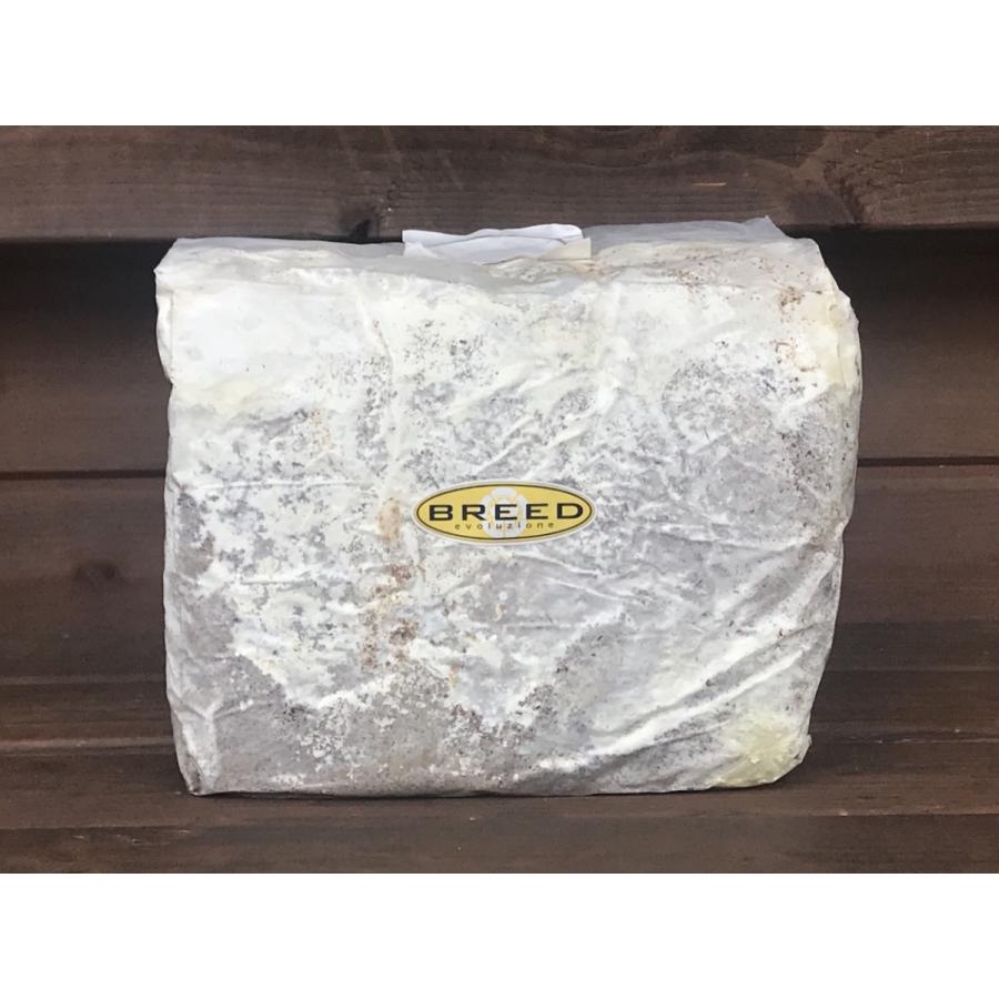 高性能・高品質　BREED菌糸ブロック　3500cc　菌床 菌糸ブロック 高品質 高性能 BREED 3500ml 9個 ブリード 菌床 菌糸ビン